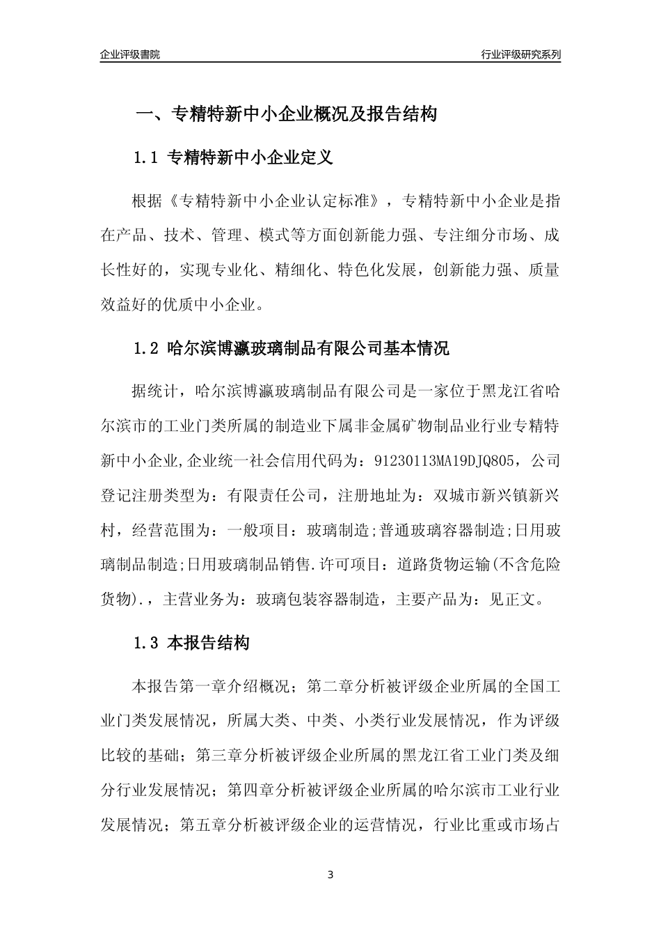 [专精特新]哈尔滨博瀛玻璃制品有限公司行业竞争力评级分析报告(2023版)_第3页