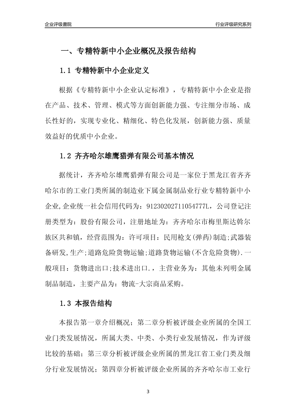 [专精特新]齐齐哈尔雄鹰猎弹有限公司行业竞争力评级分析报告(2023版)_第3页