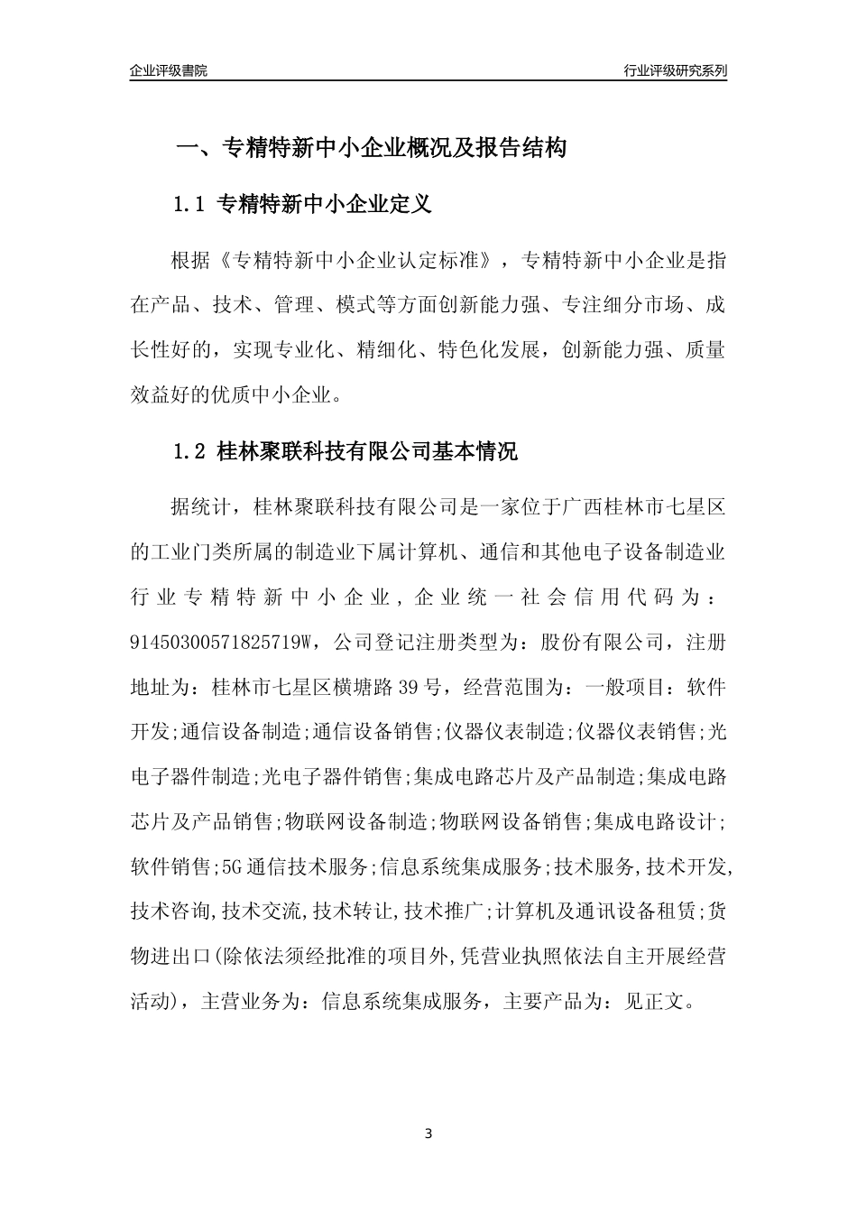 [专精特新]桂林聚联科技有限公司行业竞争力评级分析报告(2023版)_第3页