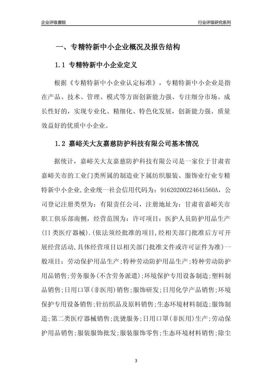 [专精特新]嘉峪关大友嘉慈防护科技有限公司行业竞争力评级分析报告(2023版)_第3页