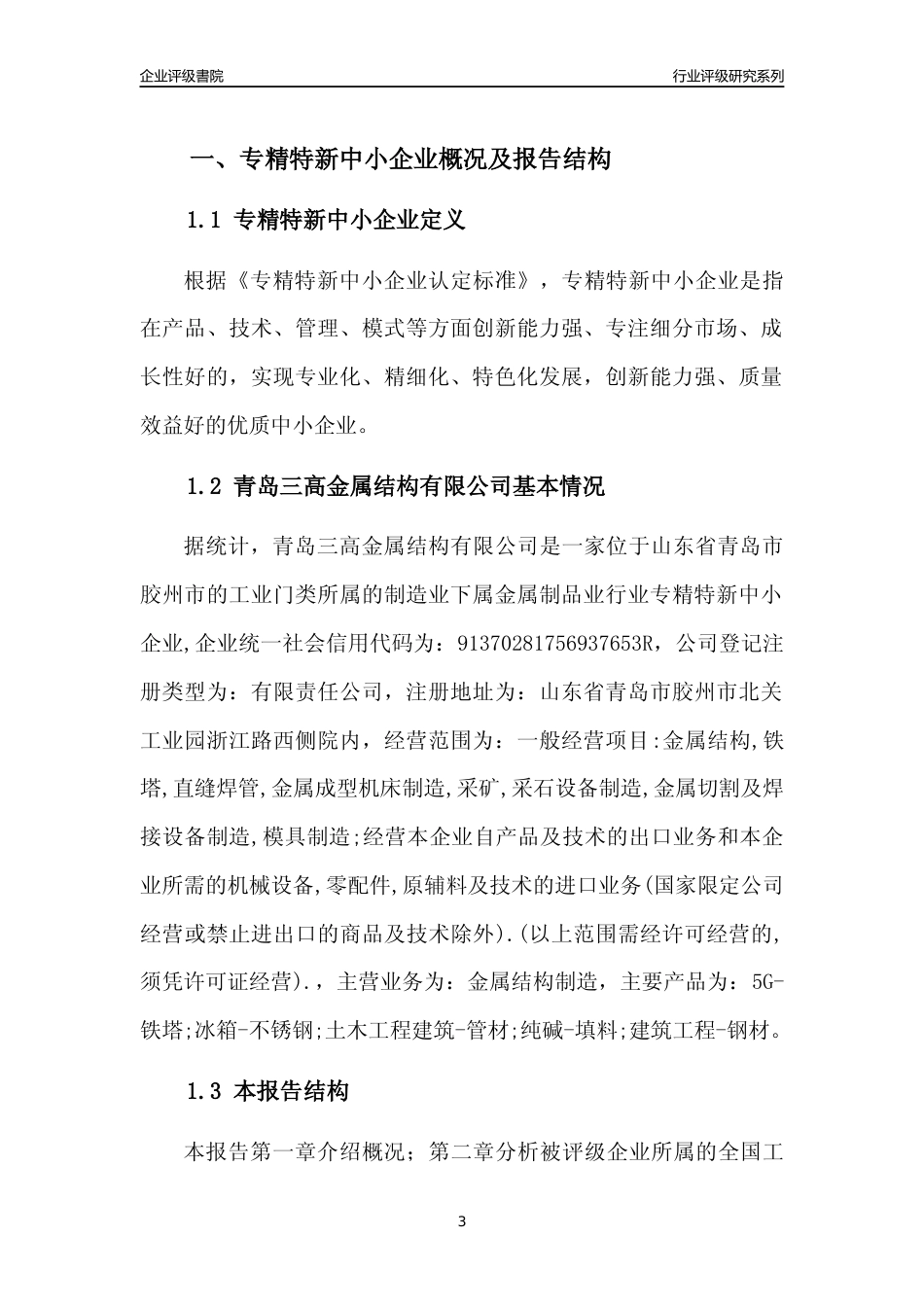 [专精特新]青岛三高金属结构有限公司行业竞争力评级分析报告(2023版)_第3页