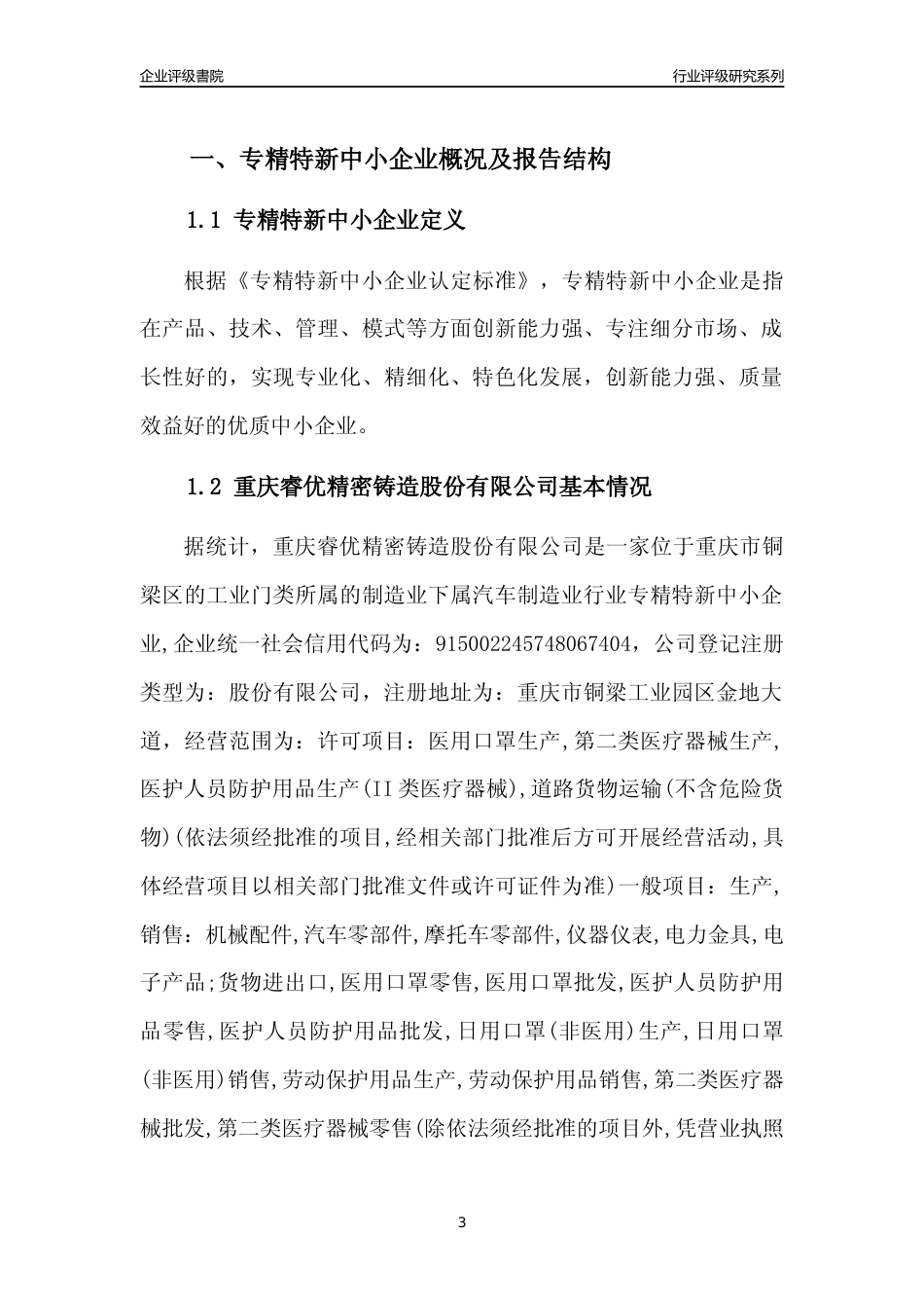 [专精特新]重庆睿优精密铸造股份有限公司行业竞争力评级分析报告(2023版)_第3页