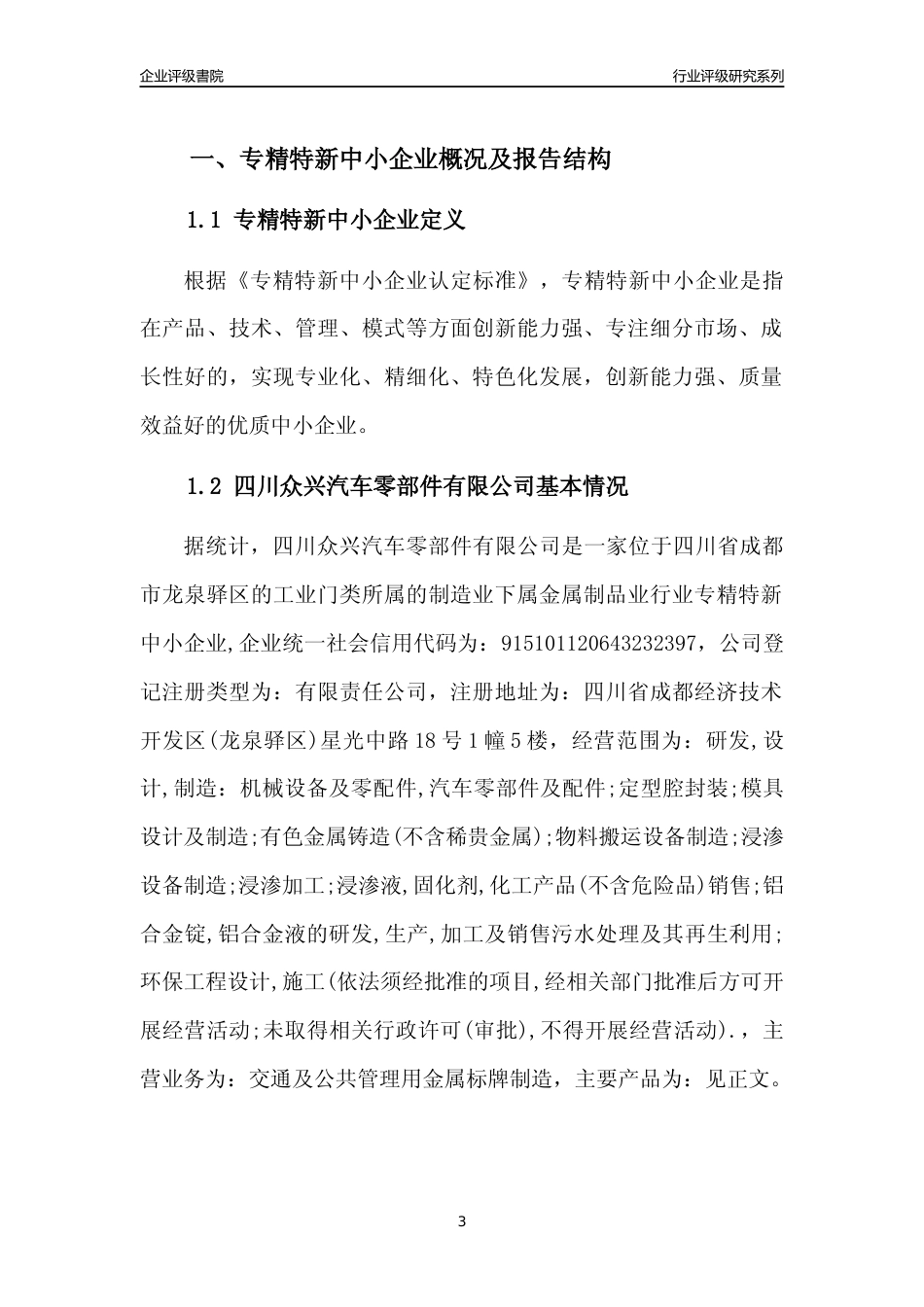 [专精特新]四川众兴汽车零部件有限公司行业竞争力评级分析报告(2023版)_第3页