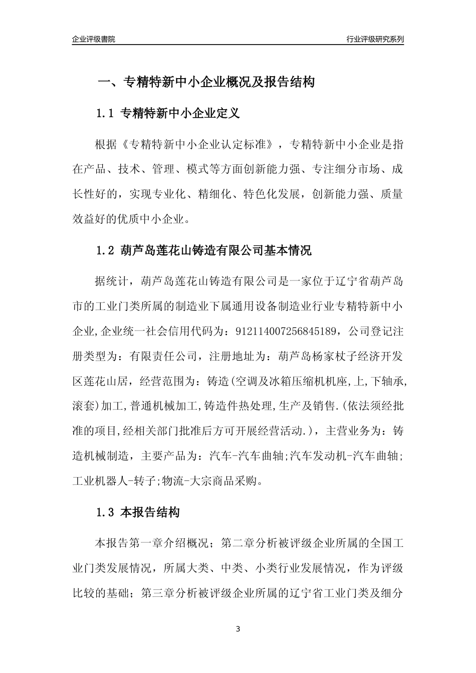 [专精特新]葫芦岛莲花山铸造有限公司行业竞争力评级分析报告(2023版)_第3页