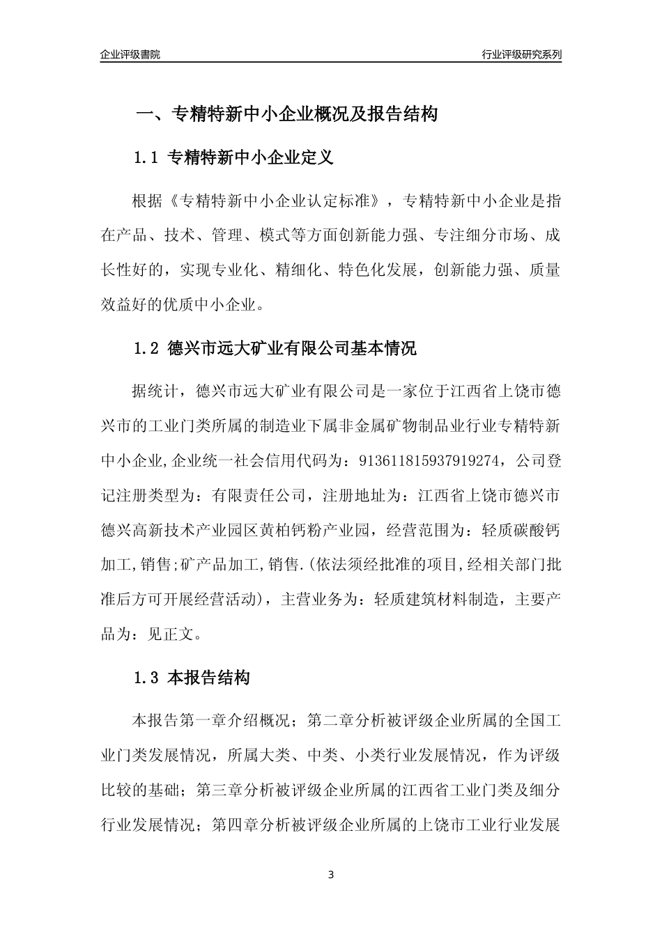 [专精特新]德兴市远大矿业有限公司行业竞争力评级分析报告(2023版)_第3页