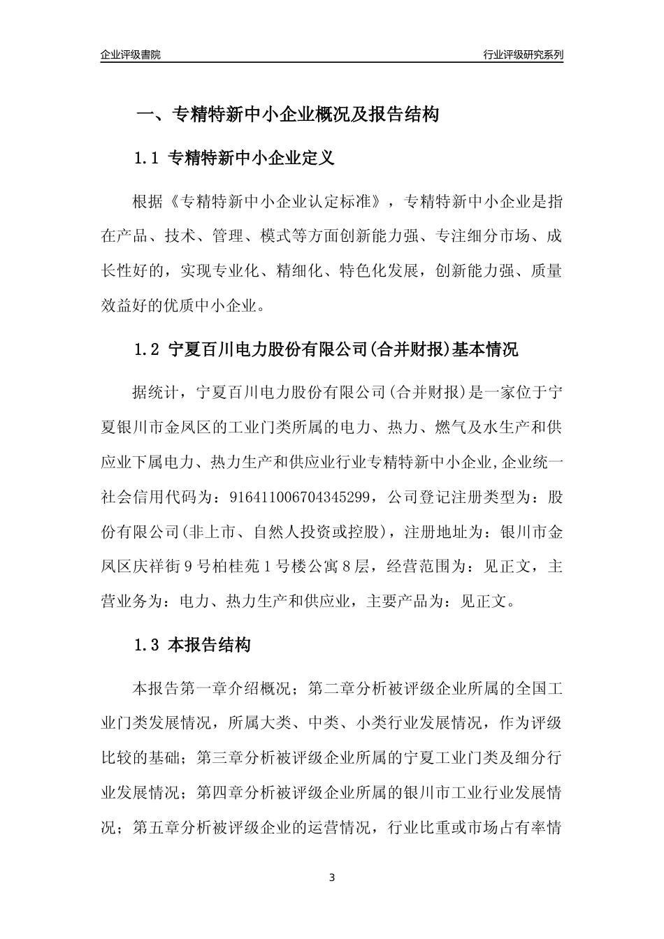 [专精特新]宁夏百川电力股份有限公司(合并财报)行业竞争力评级分析报告(2023版)_第3页