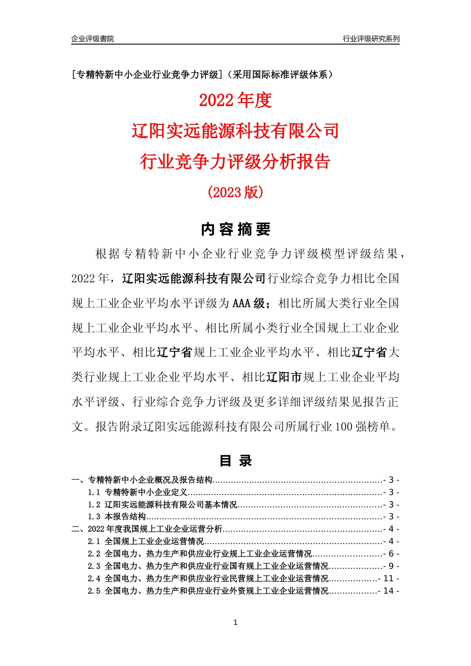 [专精特新]辽阳实远能源科技有限公司行业竞争力评级分析报告(2023版)_第1页