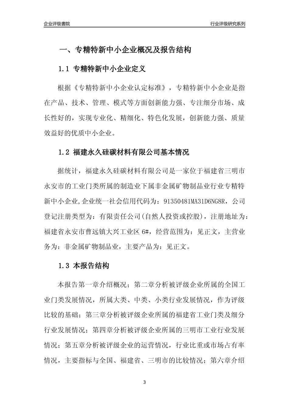 [专精特新]福建永久硅碳材料有限公司行业竞争力评级分析报告(2023版)_第3页