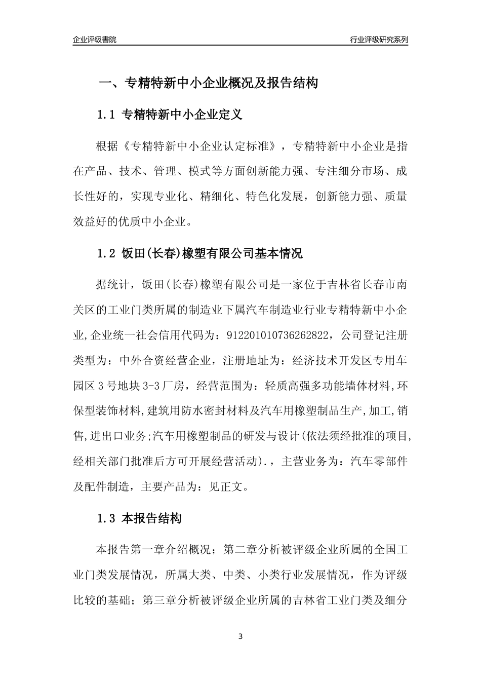 [专精特新]饭田(长春)橡塑有限公司行业竞争力评级分析报告(2023版)_第3页