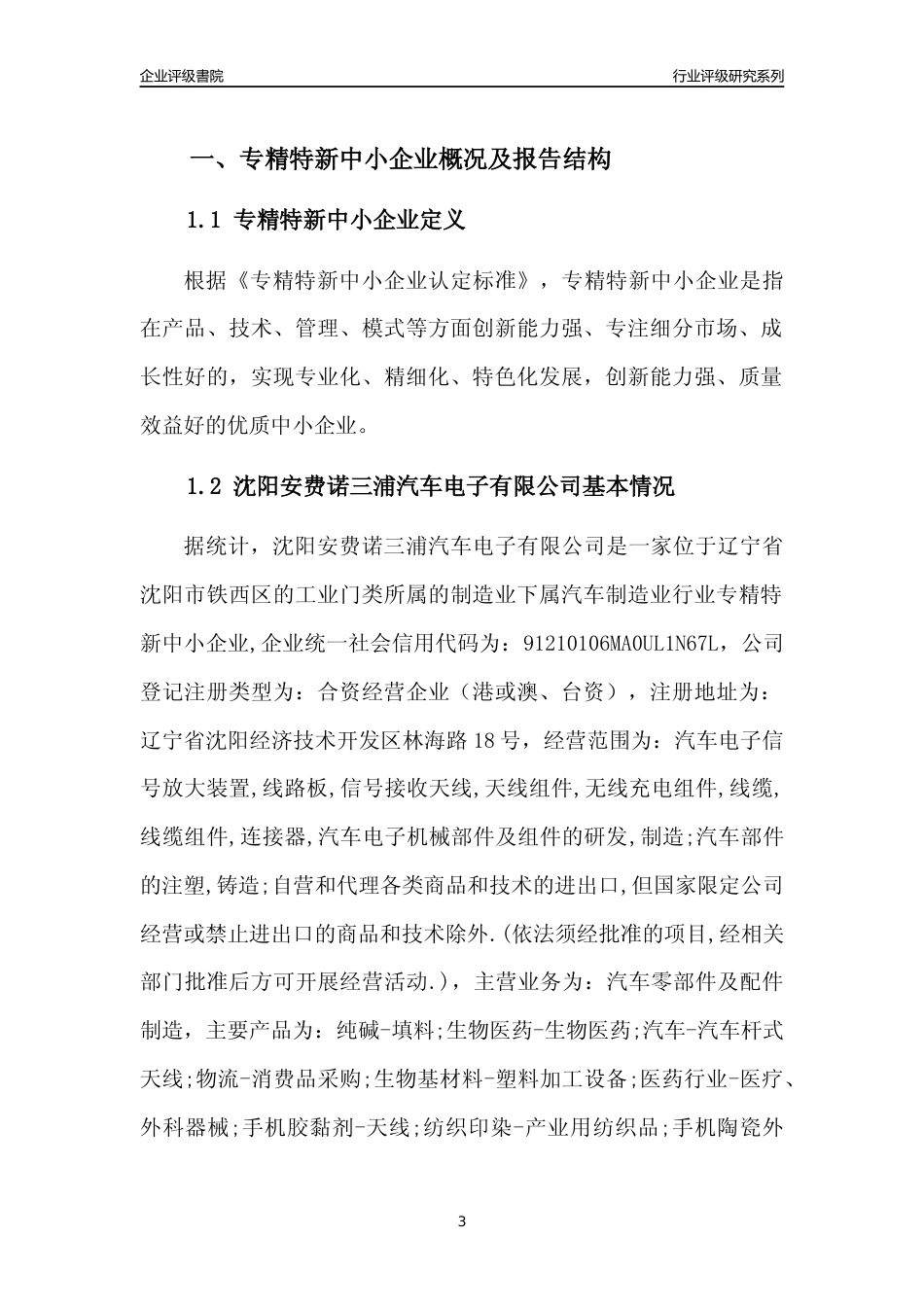 [专精特新]沈阳安费诺三浦汽车电子有限公司行业竞争力评级分析报告(2023版)_第3页