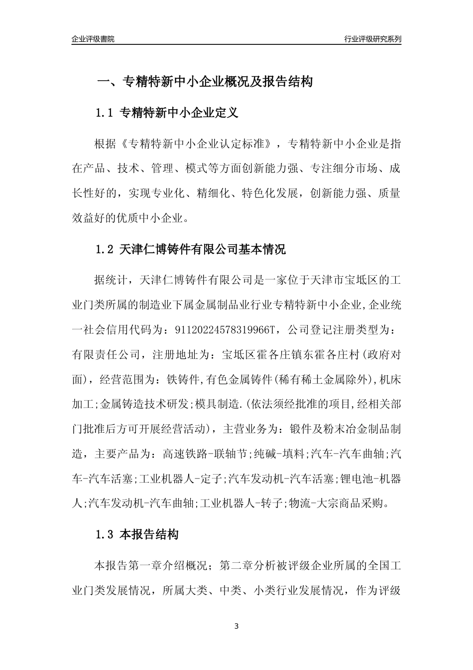 [专精特新]天津仁博铸件有限公司行业竞争力评级分析报告(2023版)_第3页