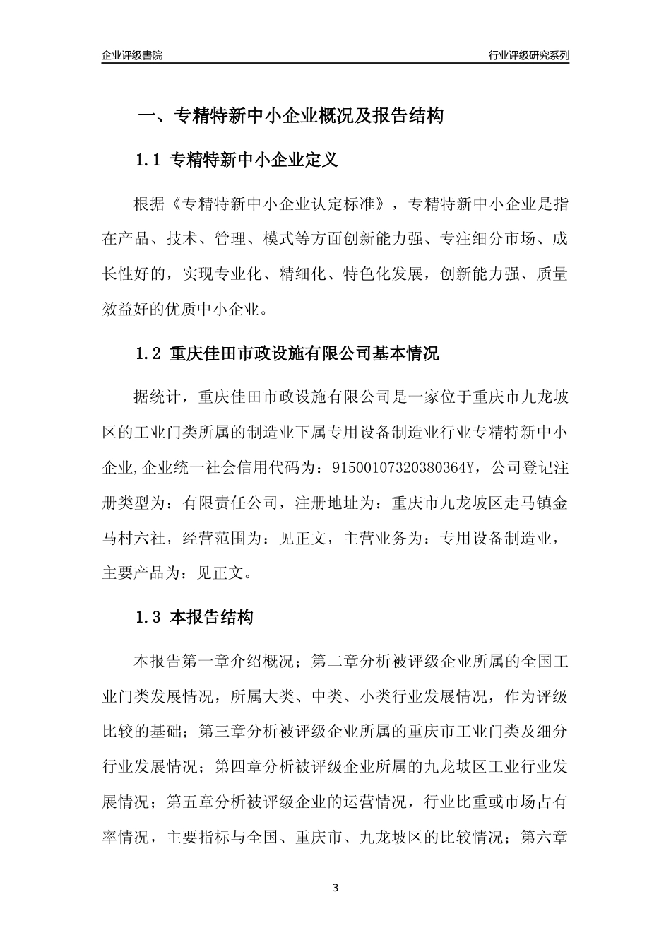 [专精特新]重庆佳田市政设施有限公司行业竞争力评级分析报告(2023版)_第3页