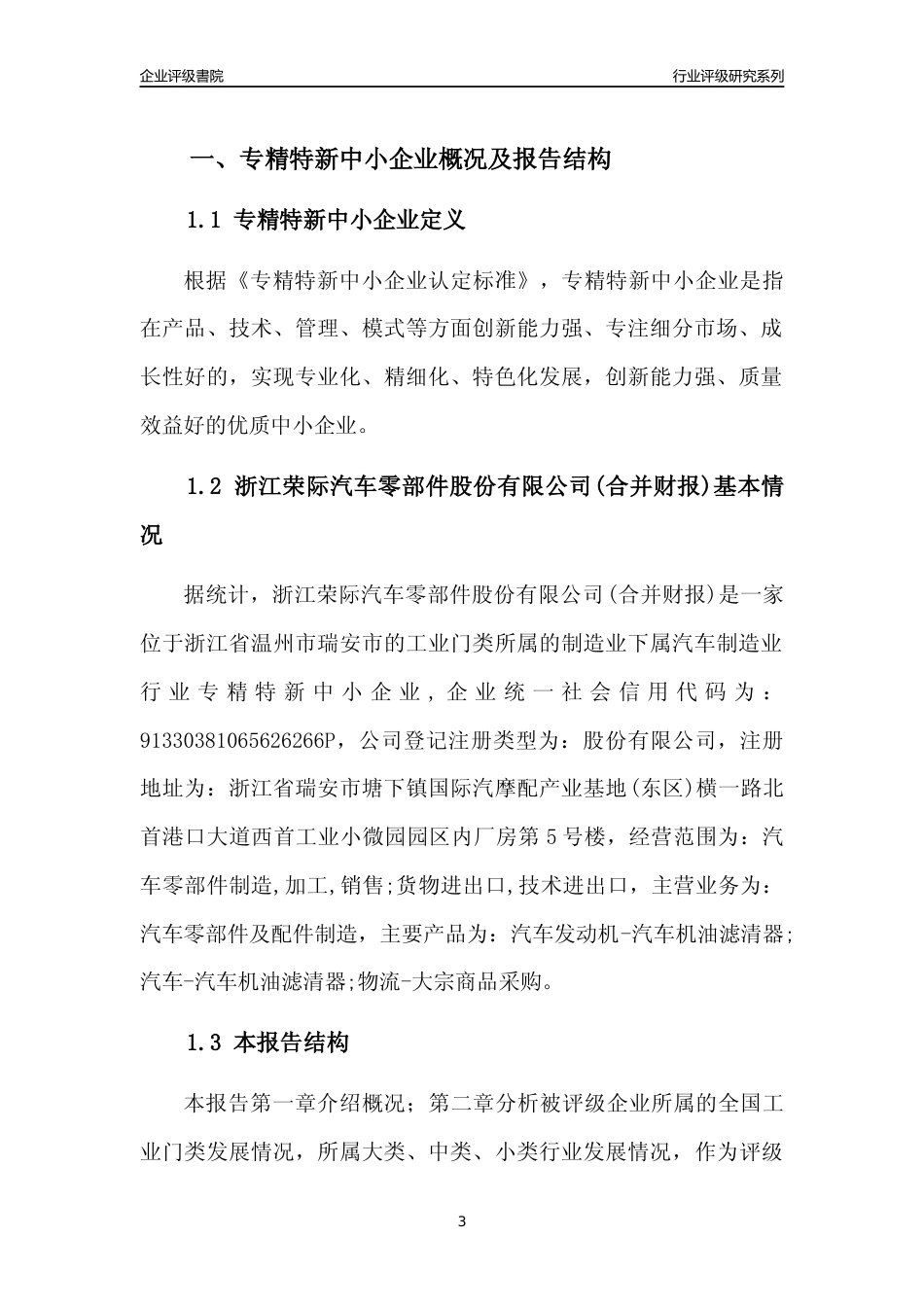 [专精特新]浙江荣际汽车零部件股份有限公司(合并财报)行业竞争力评级分析报告(2023版)_第3页