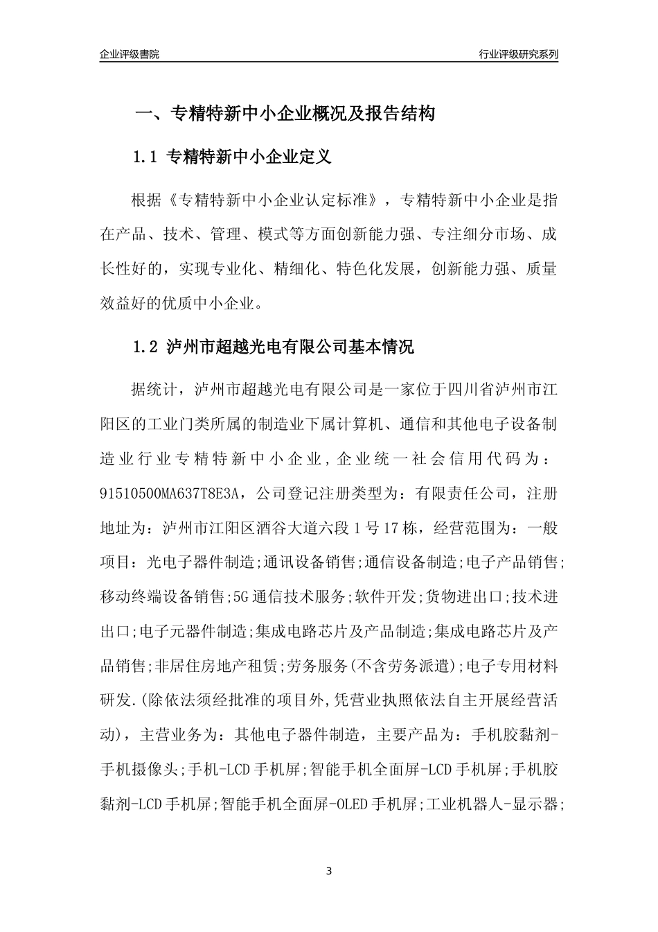 [专精特新]泸州市超越光电有限公司行业竞争力评级分析报告(2023版)_第3页