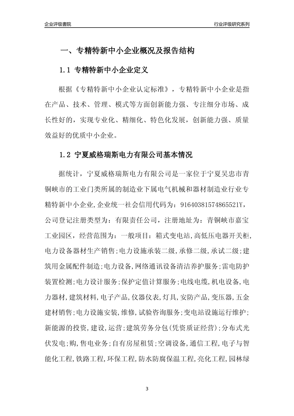 [专精特新]宁夏威格瑞斯电力有限公司行业竞争力评级分析报告(2023版)_第3页