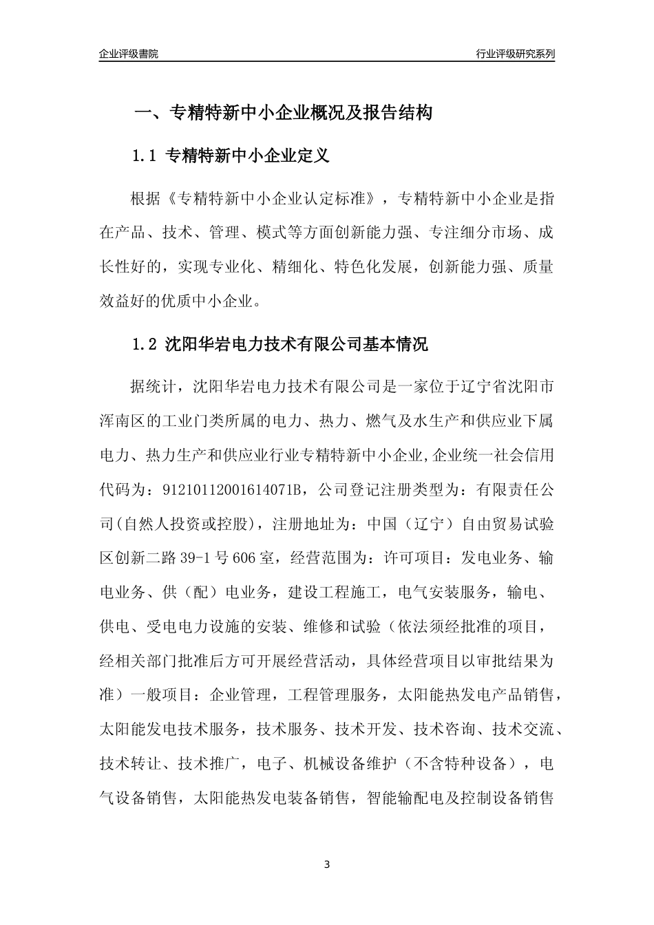 [专精特新]沈阳华岩电力技术有限公司行业竞争力评级分析报告(2023版)_第3页