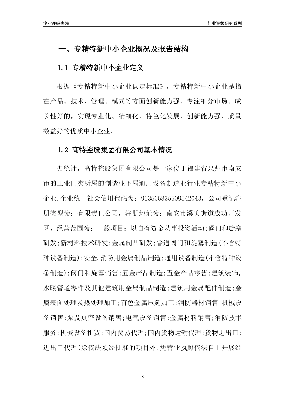 [专精特新]高特控股集团有限公司行业竞争力评级分析报告(2023版)_第3页