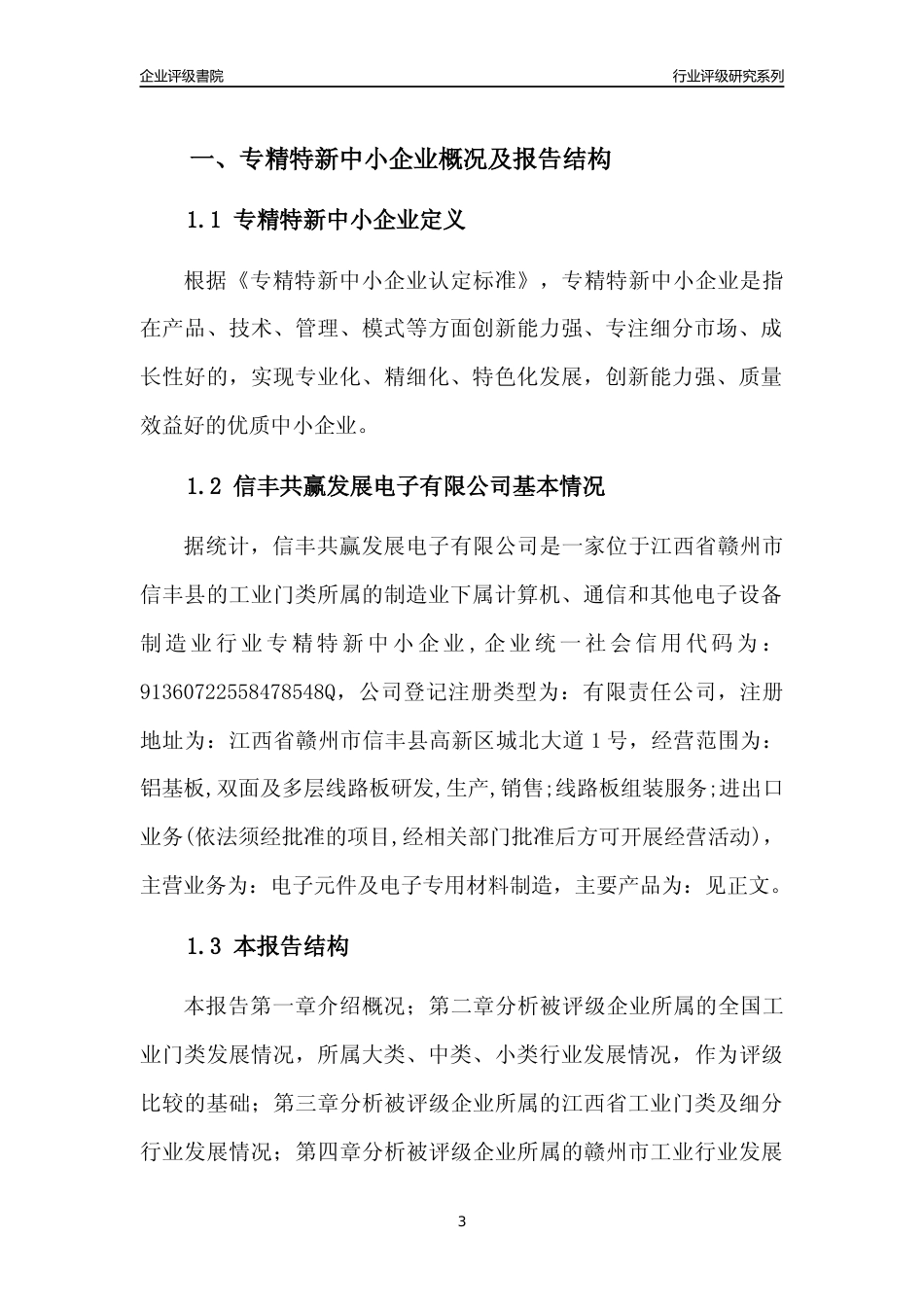 [专精特新]信丰共赢发展电子有限公司行业竞争力评级分析报告(2023版)_第3页