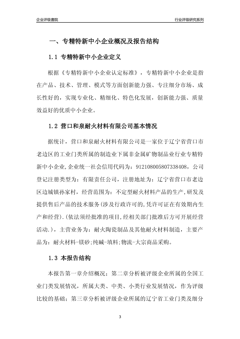 [专精特新]营口和泉耐火材料有限公司行业竞争力评级分析报告(2023版)_第3页