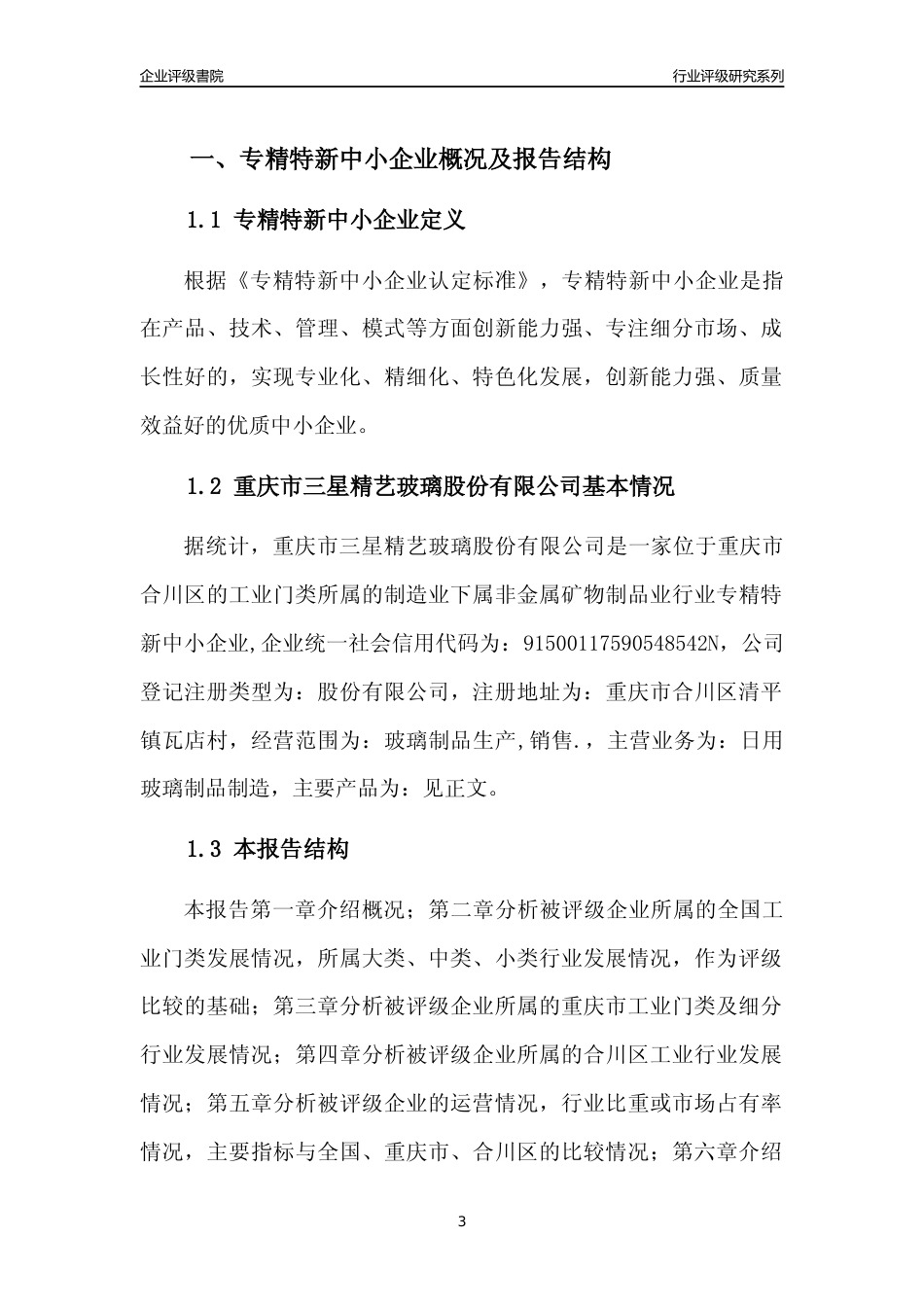 [专精特新]重庆市三星精艺玻璃股份有限公司行业竞争力评级分析报告(2023版)_第3页