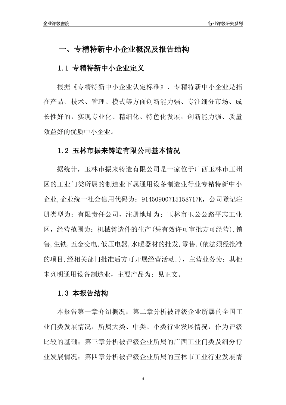 [专精特新]玉林市振来铸造有限公司行业竞争力评级分析报告(2023版)_第3页