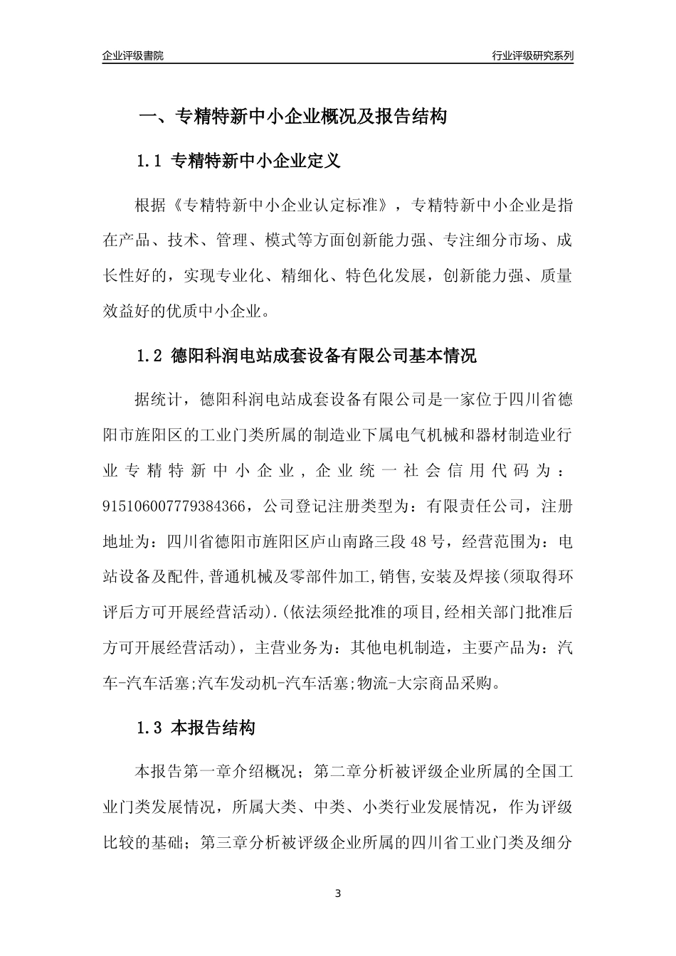 [专精特新]德阳科润电站成套设备有限公司行业竞争力评级分析报告(2023版)_第3页
