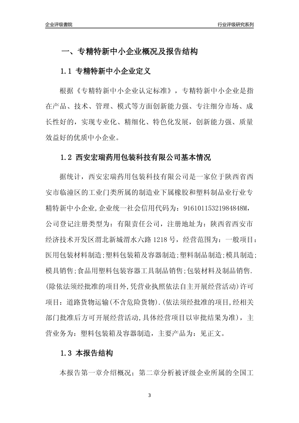 [专精特新]西安宏瑞药用包装科技有限公司行业竞争力评级分析报告(2023版)_第3页