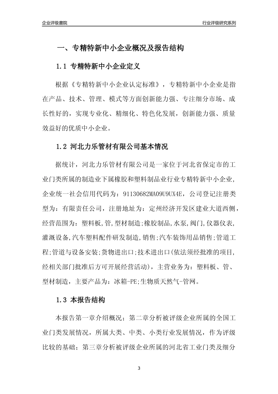 [专精特新]河北力乐管材有限公司行业竞争力评级分析报告(2023版)_第3页