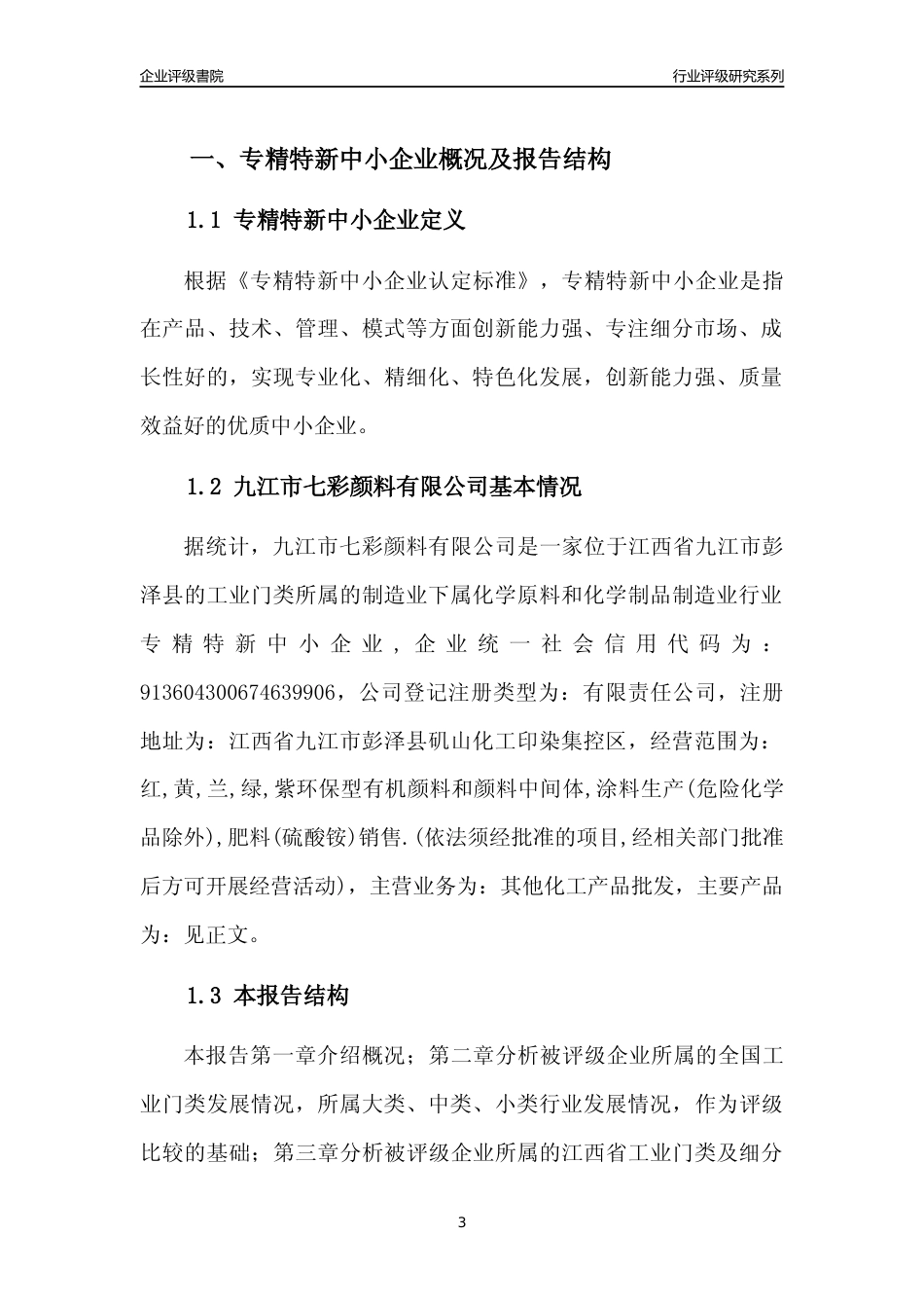 [专精特新]九江市七彩颜料有限公司行业竞争力评级分析报告(2023版)_第3页
