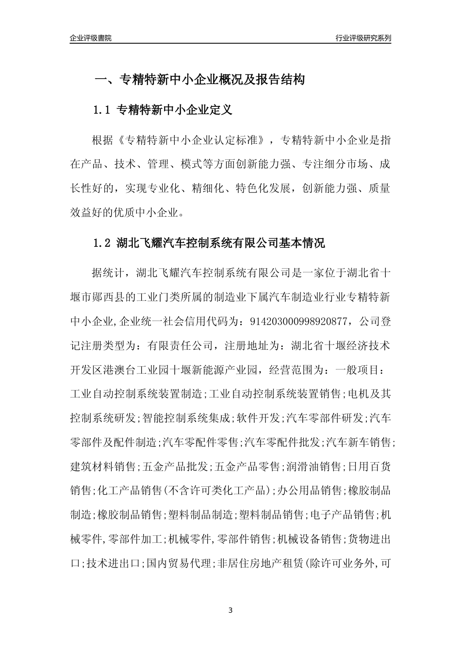 [专精特新]湖北飞耀汽车控制系统有限公司行业竞争力评级分析报告(2023版)_第3页