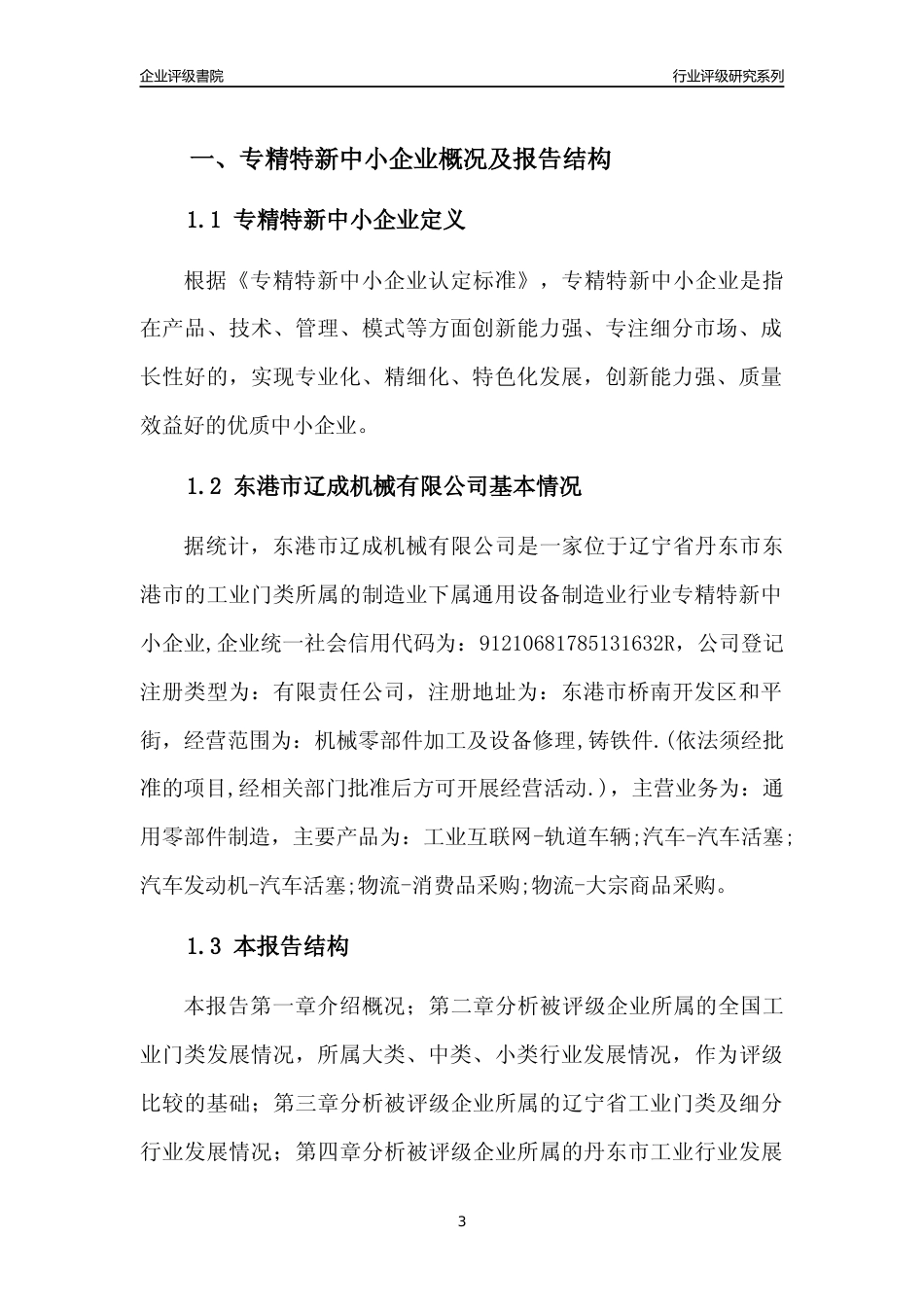 [专精特新]东港市辽成机械有限公司行业竞争力评级分析报告(2023版)_第3页