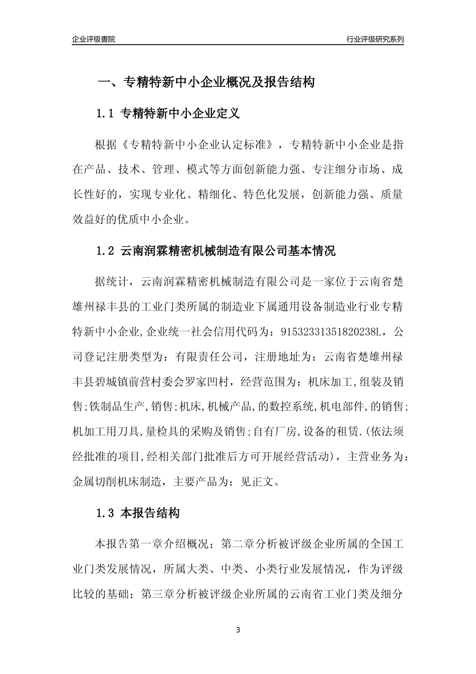 [专精特新]云南润霖精密机械制造有限公司行业竞争力评级分析报告(2023版)_第3页