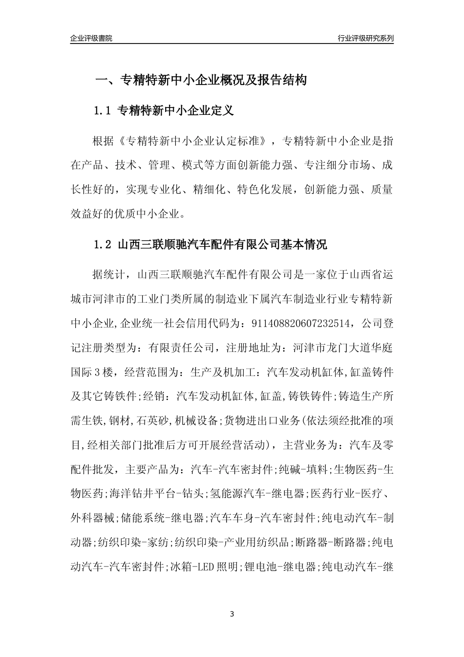 [专精特新]山西三联顺驰汽车配件有限公司行业竞争力评级分析报告(2023版)_第3页