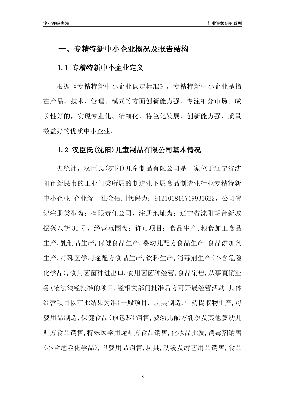 [专精特新]汉臣氏(沈阳)儿童制品有限公司行业竞争力评级分析报告(2023版)_第3页
