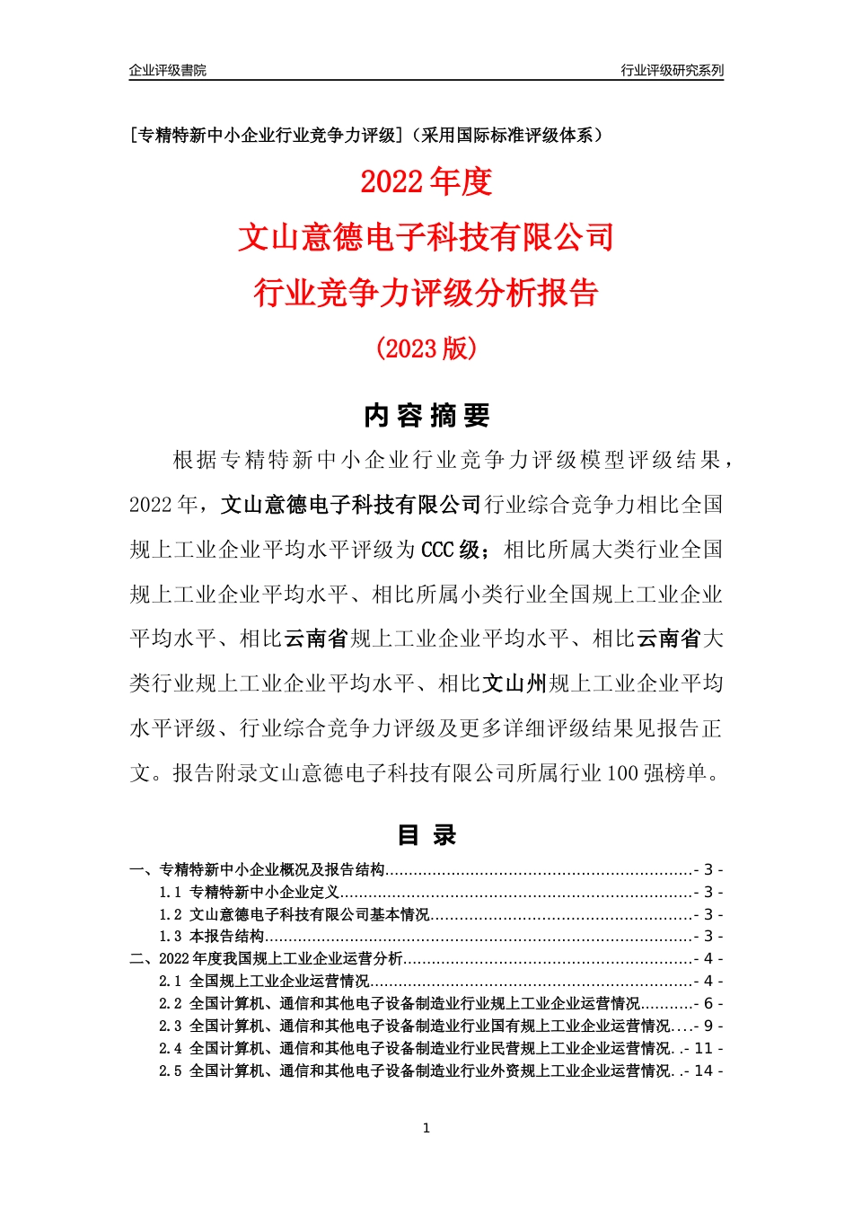 [专精特新]文山意德电子科技有限公司行业竞争力评级分析报告(2023版)_第1页