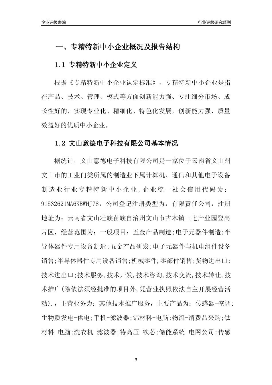 [专精特新]文山意德电子科技有限公司行业竞争力评级分析报告(2023版)_第3页