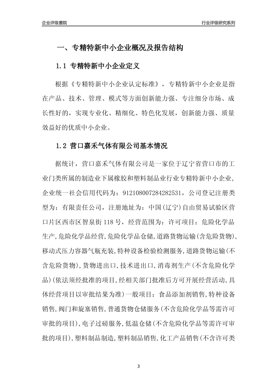 [专精特新]营口嘉禾气体有限公司行业竞争力评级分析报告(2023版)_第3页
