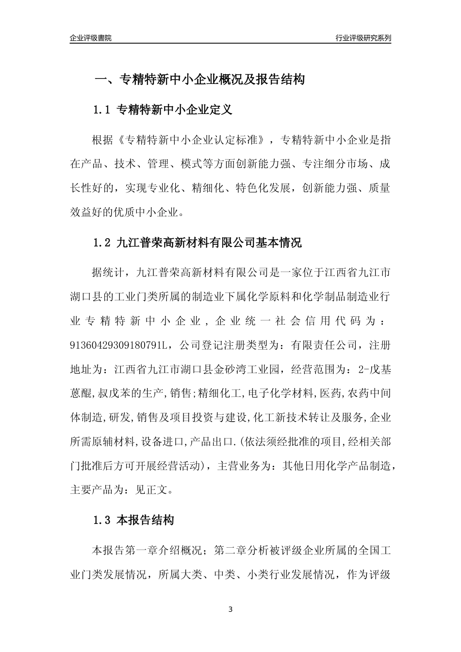 [专精特新]九江普荣高新材料有限公司行业竞争力评级分析报告(2023版)_第3页