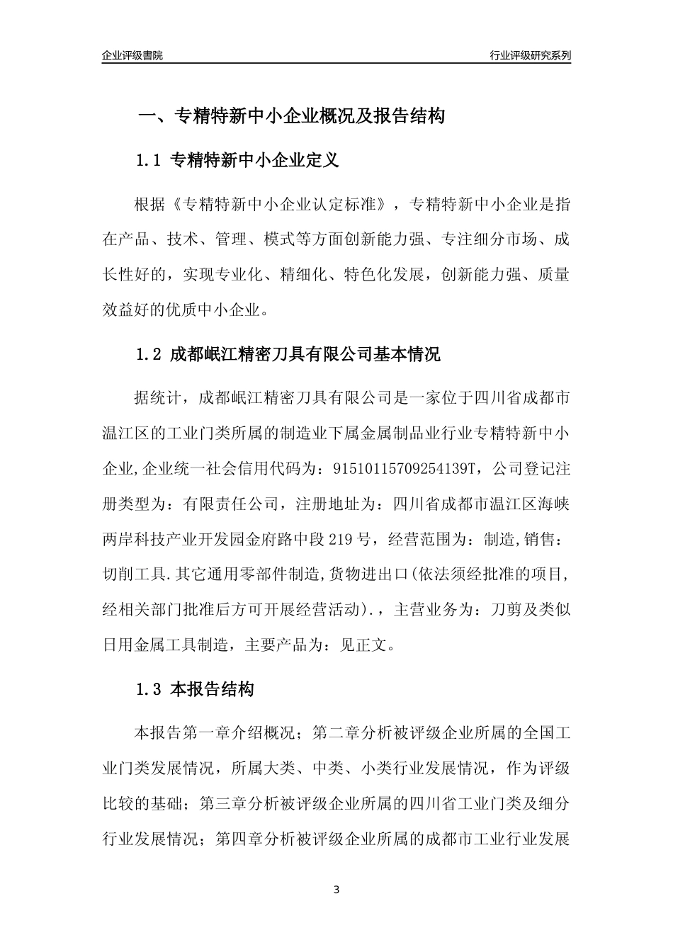 [专精特新]成都岷江精密刀具有限公司行业竞争力评级分析报告(2023版)_第3页