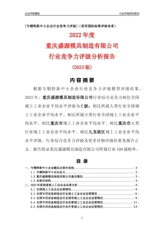 [专精特新]重庆盛源模具制造有限公司行业竞争力评级分析报告(2023版)
