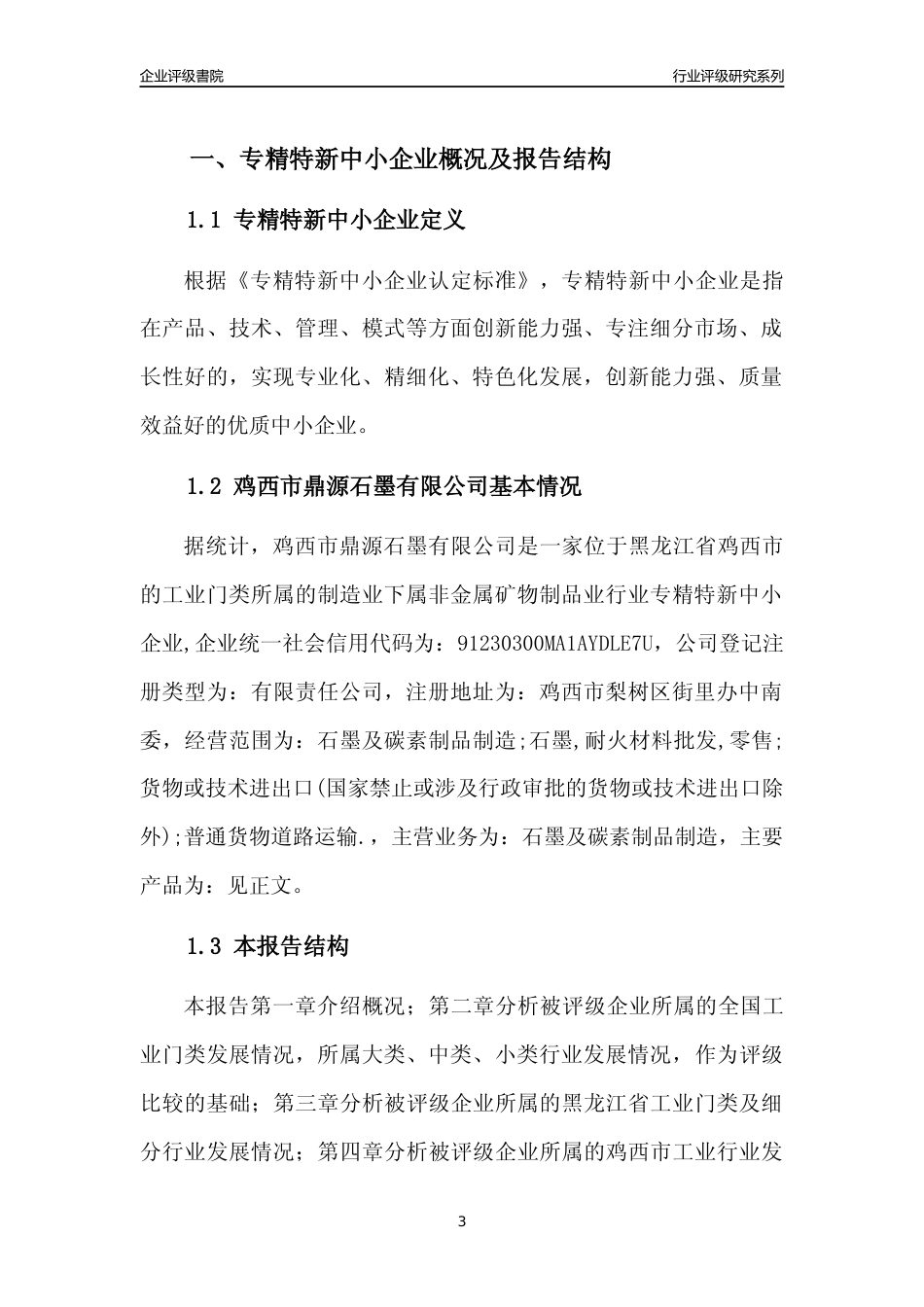 [专精特新]鸡西市鼎源石墨有限公司行业竞争力评级分析报告(2023版)_第3页