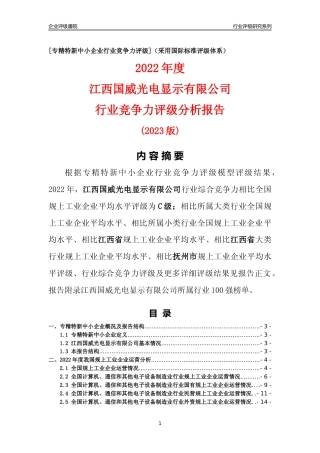 [专精特新]江西国威光电显示有限公司行业竞争力评级分析报告(2023版)