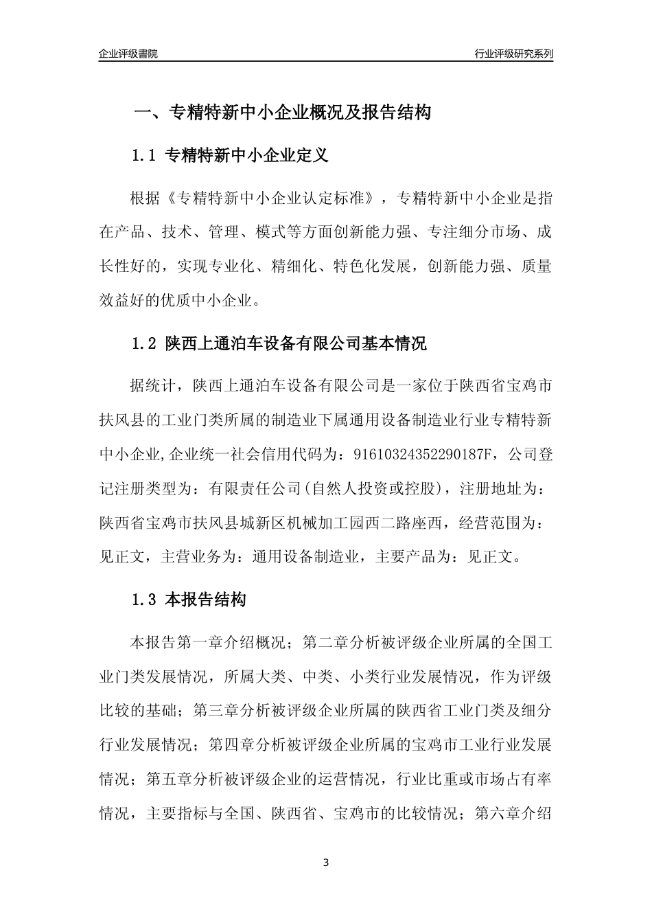[专精特新]陕西上通泊车设备有限公司行业竞争力评级分析报告(2023版)_第3页