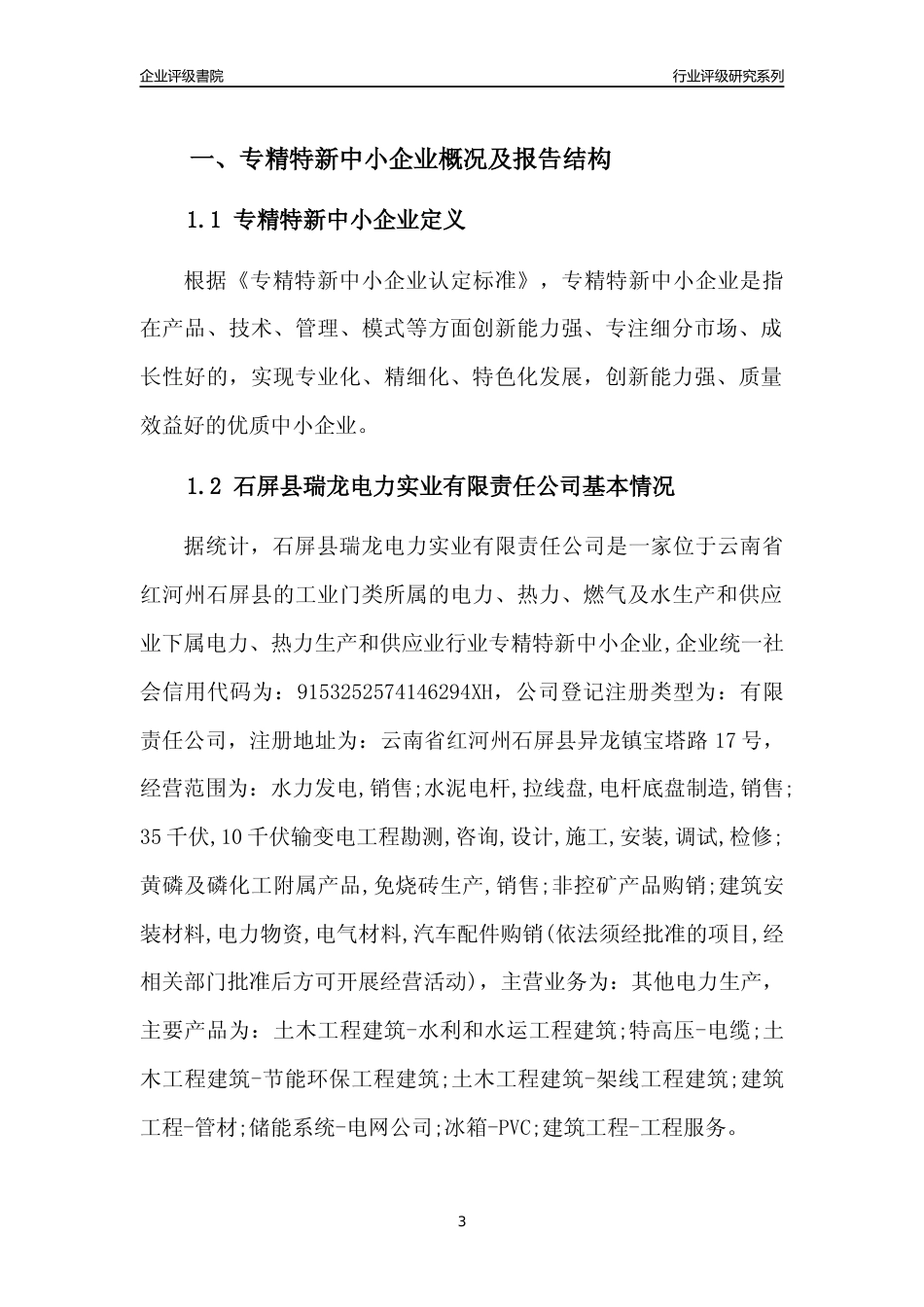 [专精特新]石屏县瑞龙电力实业有限责任公司行业竞争力评级分析报告(2023版)_第3页
