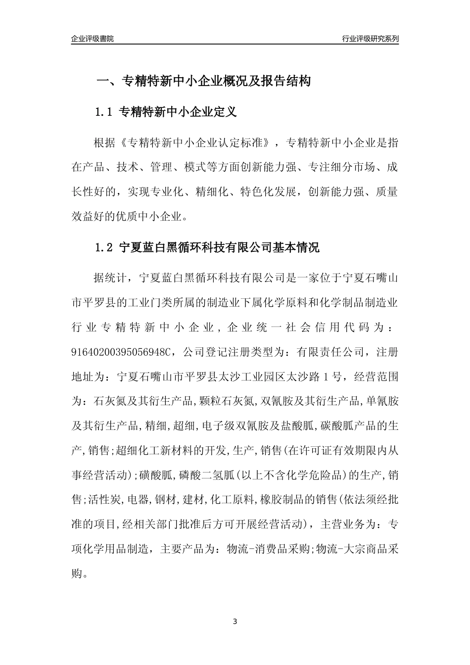[专精特新]宁夏蓝白黑循环科技有限公司行业竞争力评级分析报告(2023版)_第3页