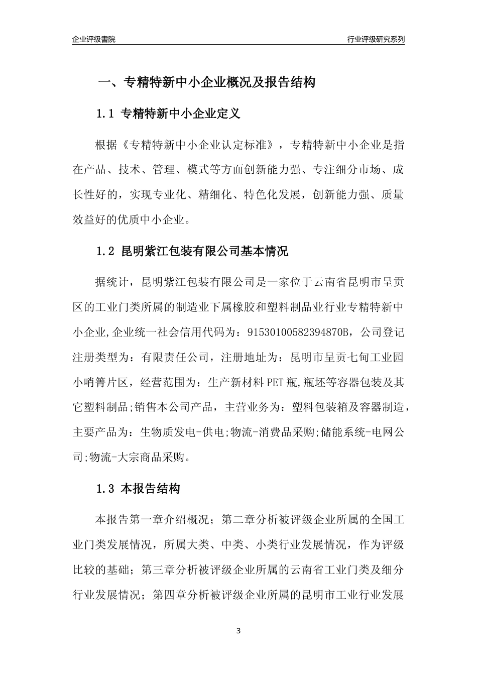 [专精特新]昆明紫江包装有限公司行业竞争力评级分析报告(2023版)_第3页