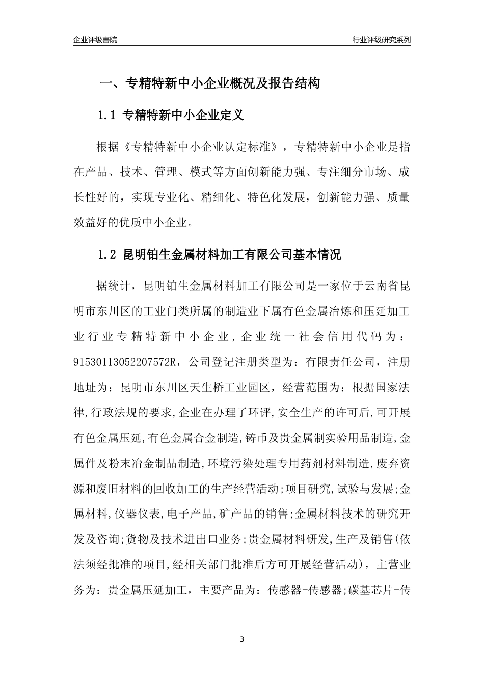 [专精特新]昆明铂生金属材料加工有限公司行业竞争力评级分析报告(2023版)_第3页