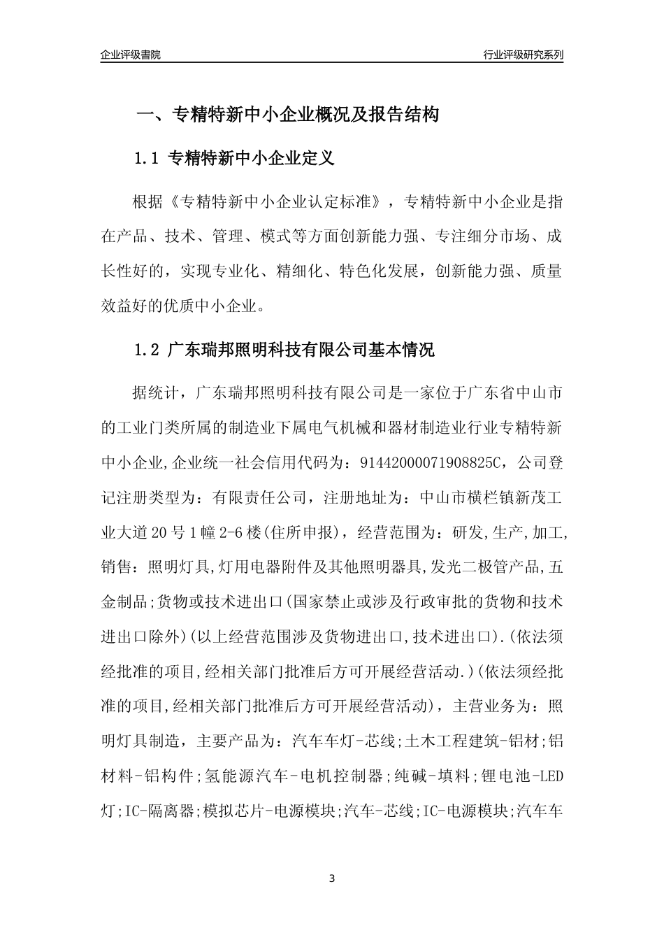 [专精特新]广东瑞邦照明科技有限公司行业竞争力评级分析报告(2023版)_第3页