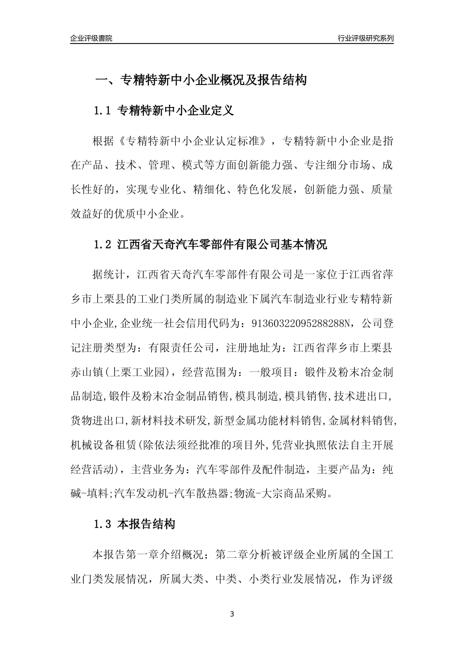 [专精特新]江西省天奇汽车零部件有限公司行业竞争力评级分析报告(2023版)_第3页