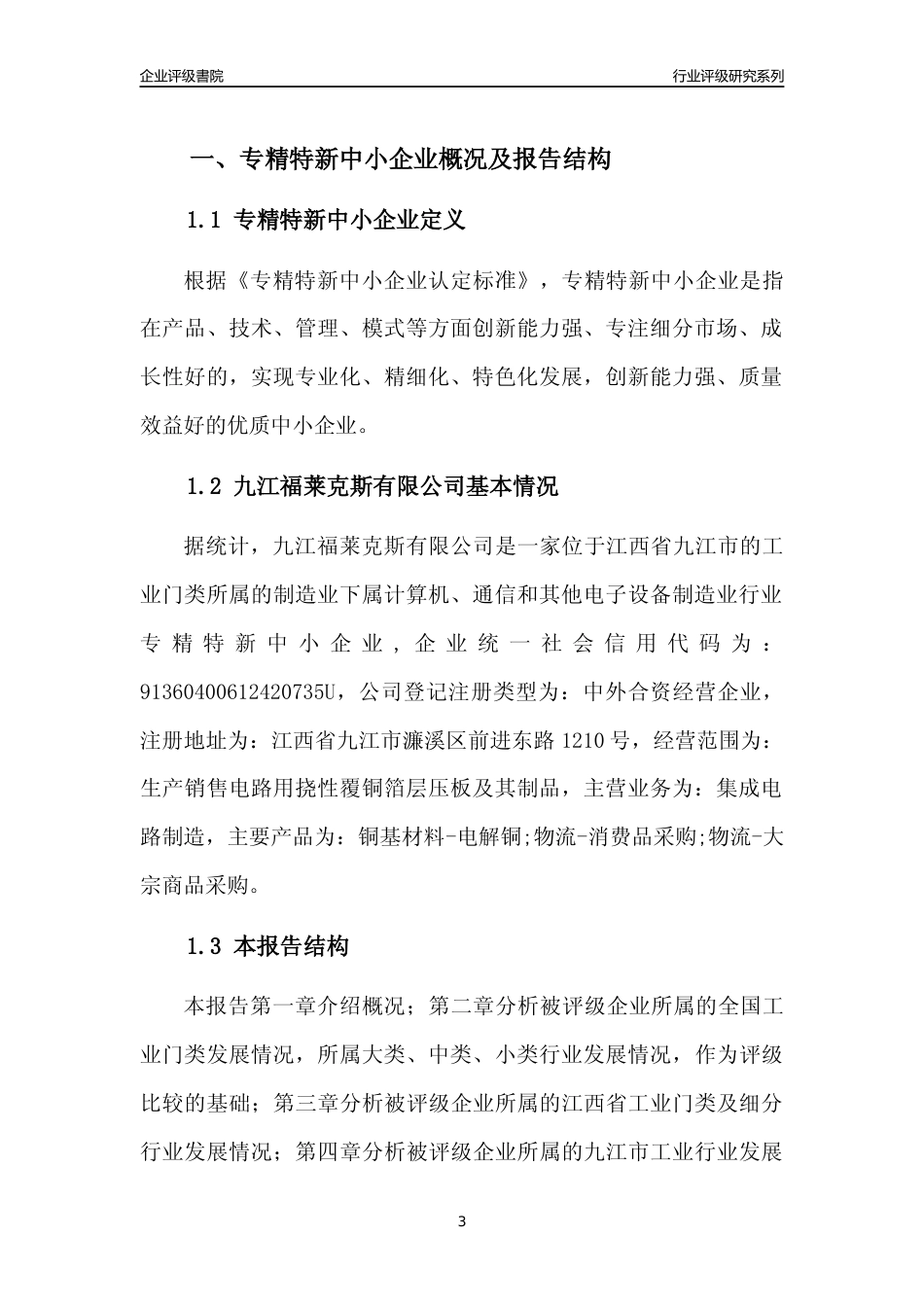 [专精特新]九江福莱克斯有限公司行业竞争力评级分析报告(2023版)_第3页